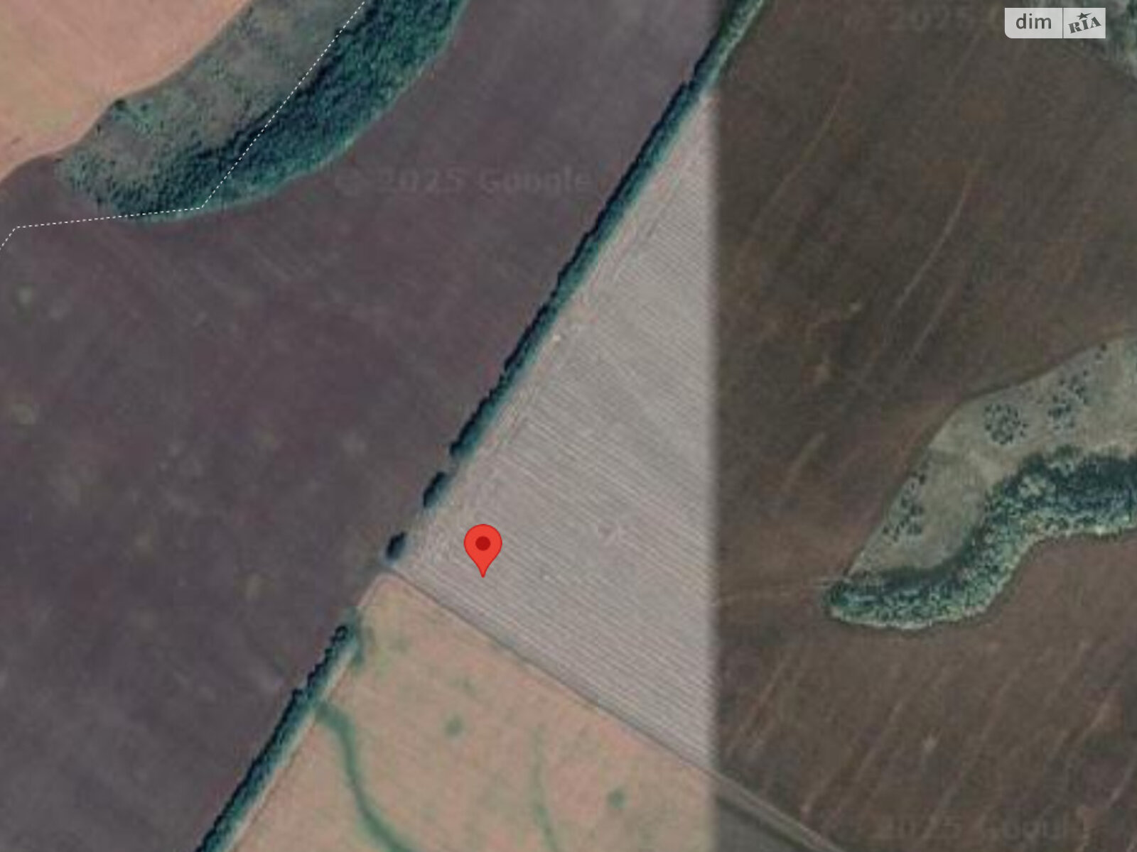 Земельный участок сельскохозяйственного назначения в Буках, площадь 1.3 Га фото 1 Земельный участок сельскохозяйственного назначения в Буках, площадь 1.3 Га фото 1