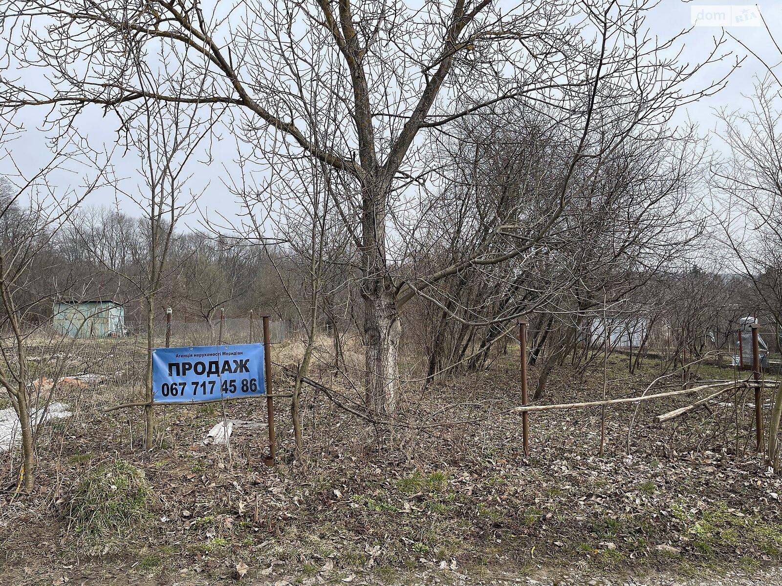 Земельна ділянка сільськогосподарського призначення в Буцневі, площа 5.8 сотки фото 1