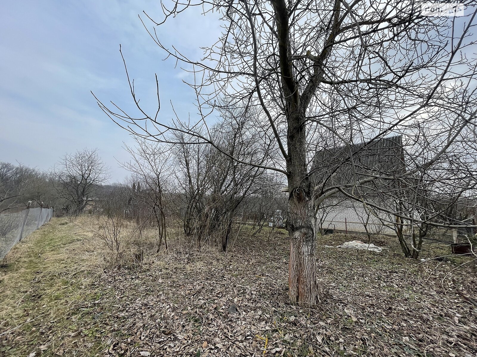 Земельна ділянка сільськогосподарського призначення в Буцневі, площа 5.8 сотки фото 1