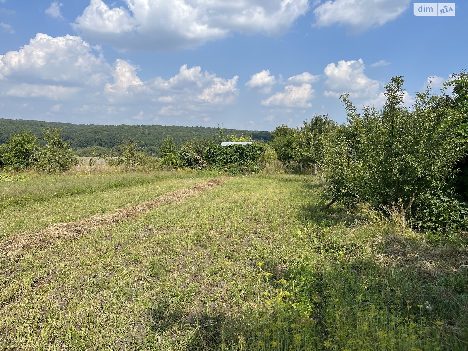 Земельный участок сельскохозяйственного назначения в Буцневе, площадь 12 соток фото 1