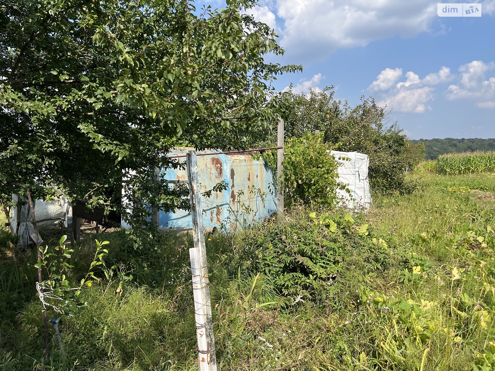 Земельный участок сельскохозяйственного назначения в Буцневе, площадь 12 соток фото 1