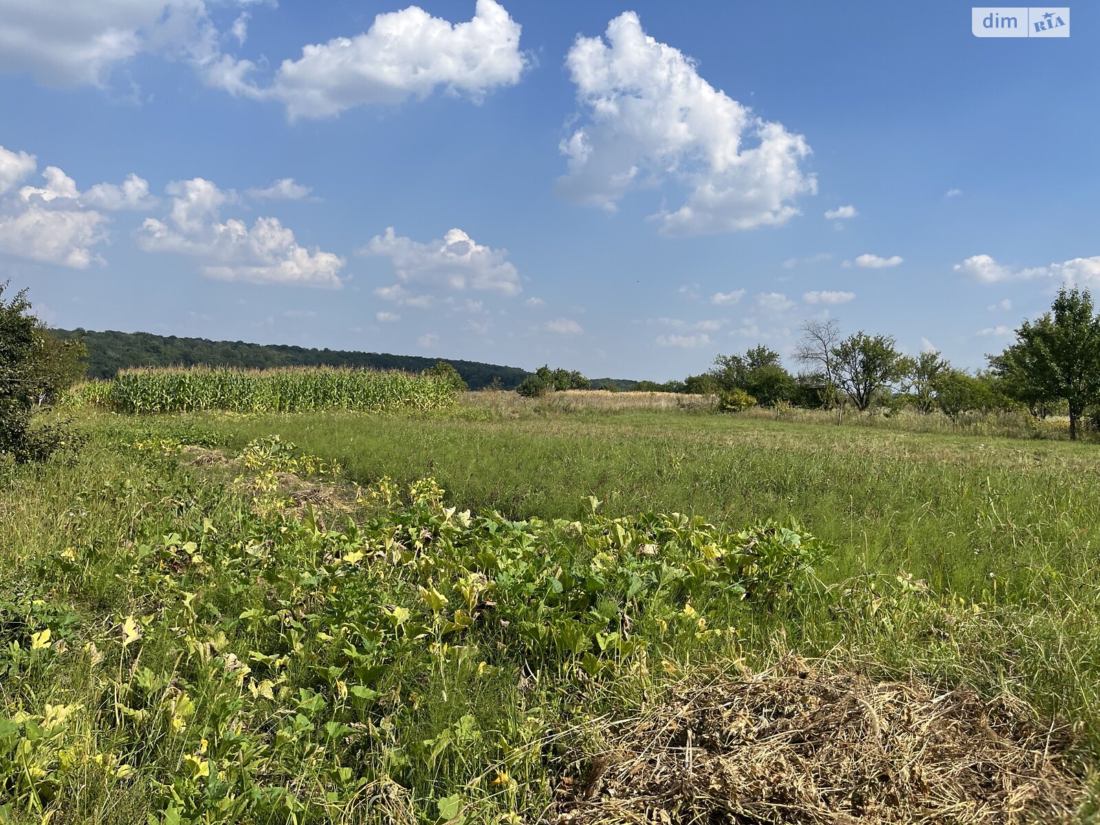 Земельный участок сельскохозяйственного назначения в Буцневе, площадь 12 соток фото 1