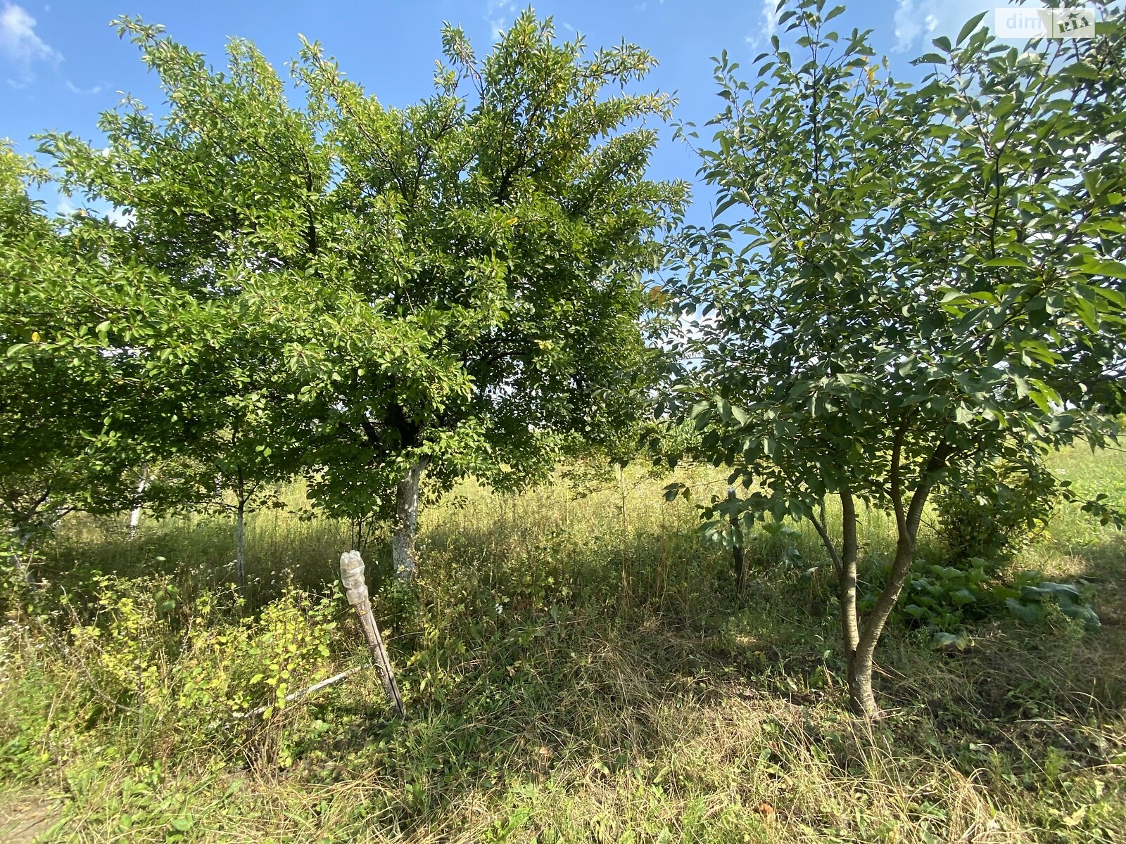 Земельна ділянка сільськогосподарського призначення в Буцневі, площа 12 соток фото 1