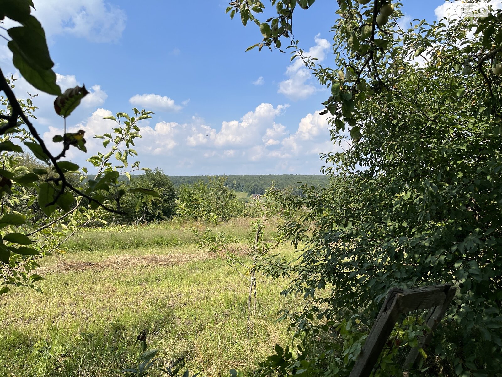 Земельна ділянка сільськогосподарського призначення в Буцневі, площа 12 соток фото 1