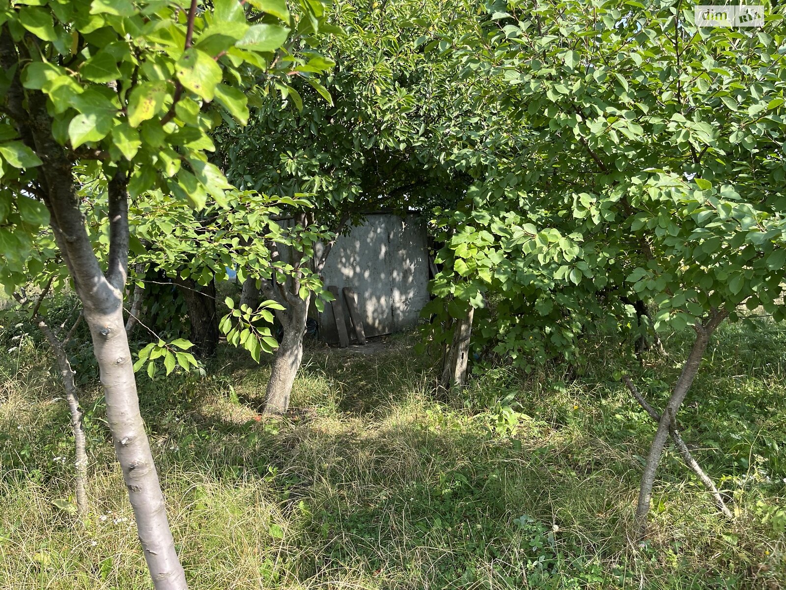 Земельна ділянка сільськогосподарського призначення в Буцневі, площа 12 соток фото 1