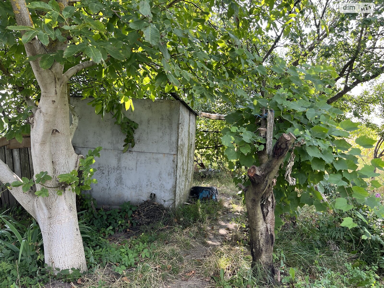 Земельна ділянка сільськогосподарського призначення в Буцневі, площа 12 соток фото 1