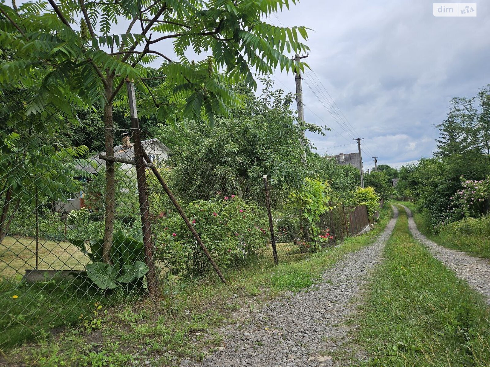 Земельна ділянка сільськогосподарського призначення в Буцневі, площа 6 соток фото 1