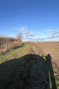 Земельна ділянка сільськогосподарського призначення в Бузовій, площа 114 соток фото 2