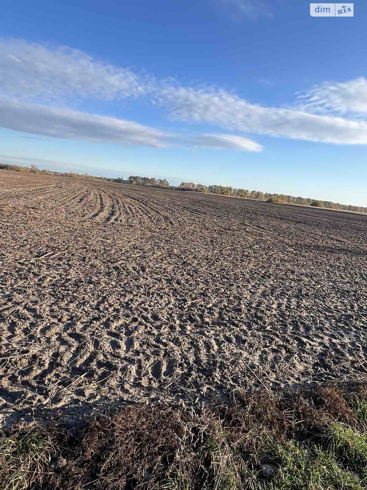 Земельна ділянка сільськогосподарського призначення в Бузовій, площа 114 соток фото 1