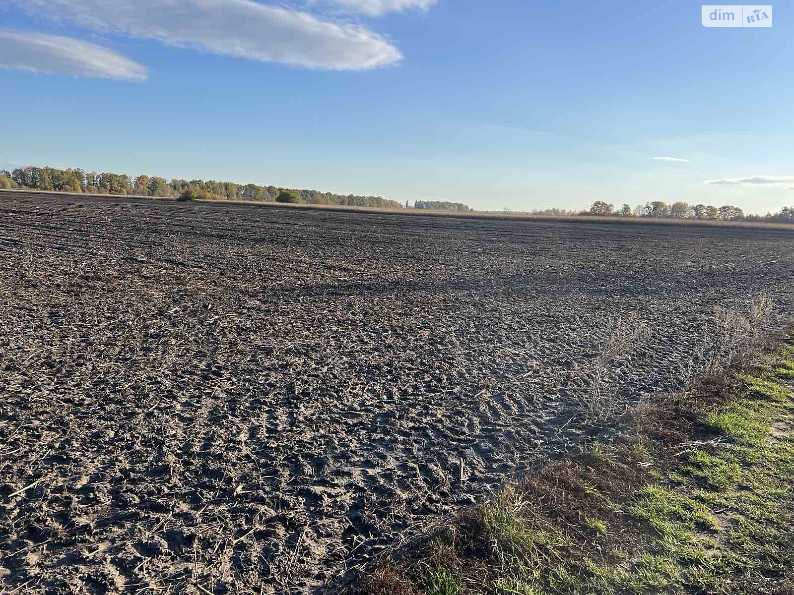 Земельна ділянка сільськогосподарського призначення в Бузовій, площа 114 соток фото 1