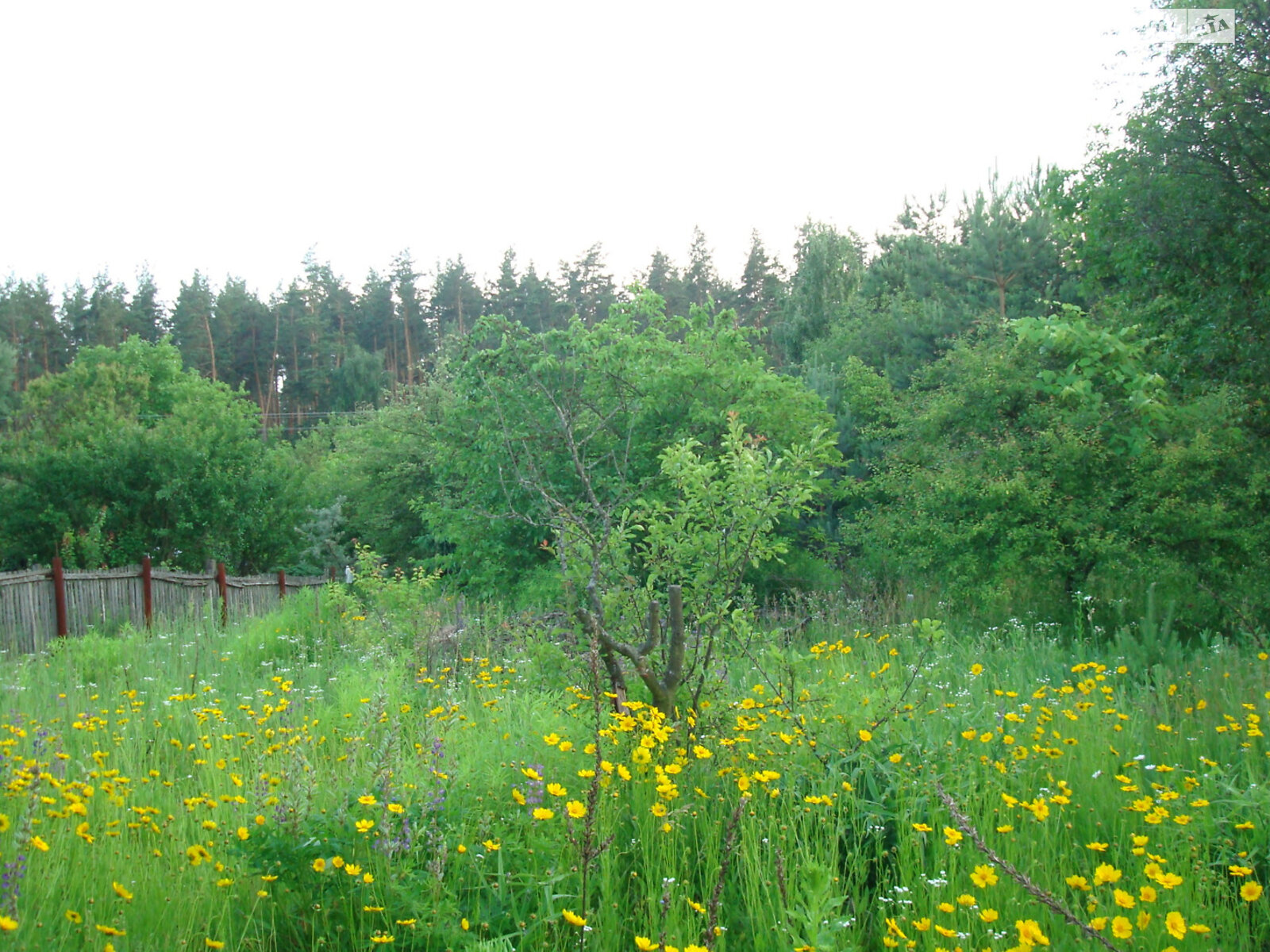 Земельна ділянка сільськогосподарського призначення в Бузовій, площа 114 соток фото 1