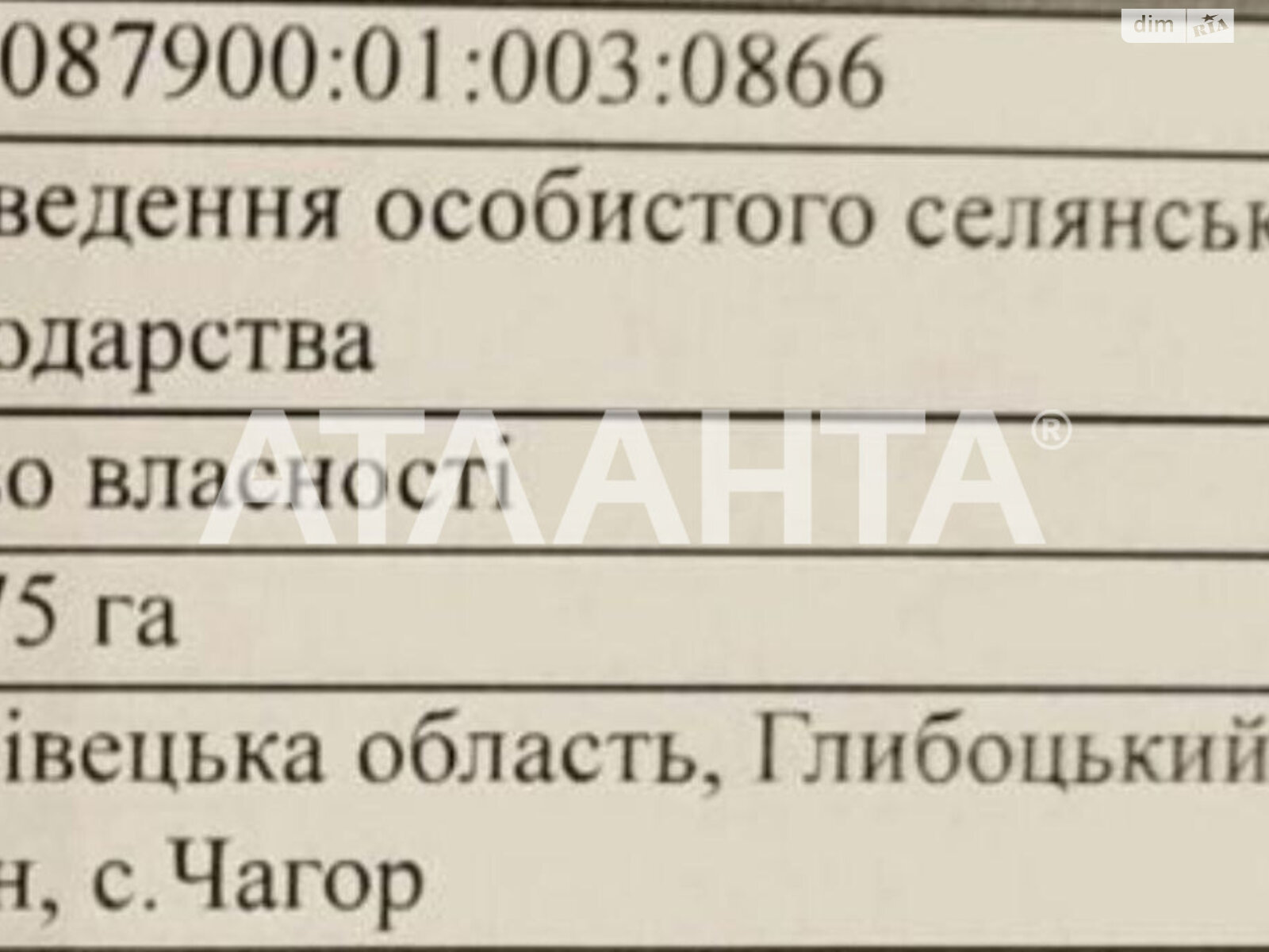 Земельный участок сельскохозяйственного назначения в Чагоре, площадь 11.75 сотки фото 1 Земельный участок сельскохозяйственного назначения в Чагоре, площадь 11.75 сотки фото 1