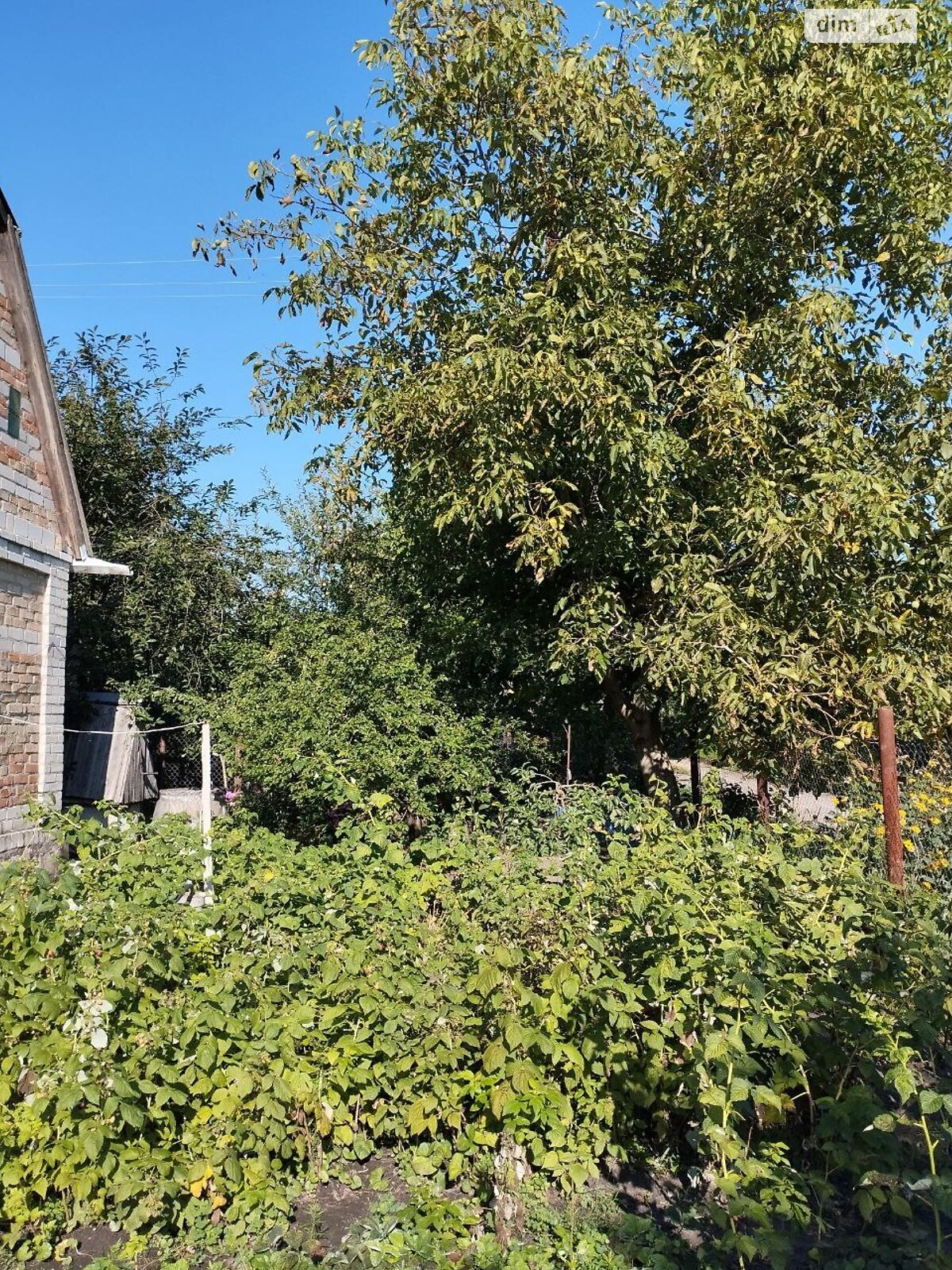 Земельна ділянка сільськогосподарського призначення в Чепиліївці, площа 0.0605 Га фото 1 Земельна ділянка сільськогосподарського призначення в Чепиліївці, площа 0.0605 Га фото 1
