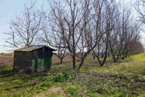 Земельный участок сельскохозяйственного назначения в Черкассах, площадь 2.4 Га фото 2