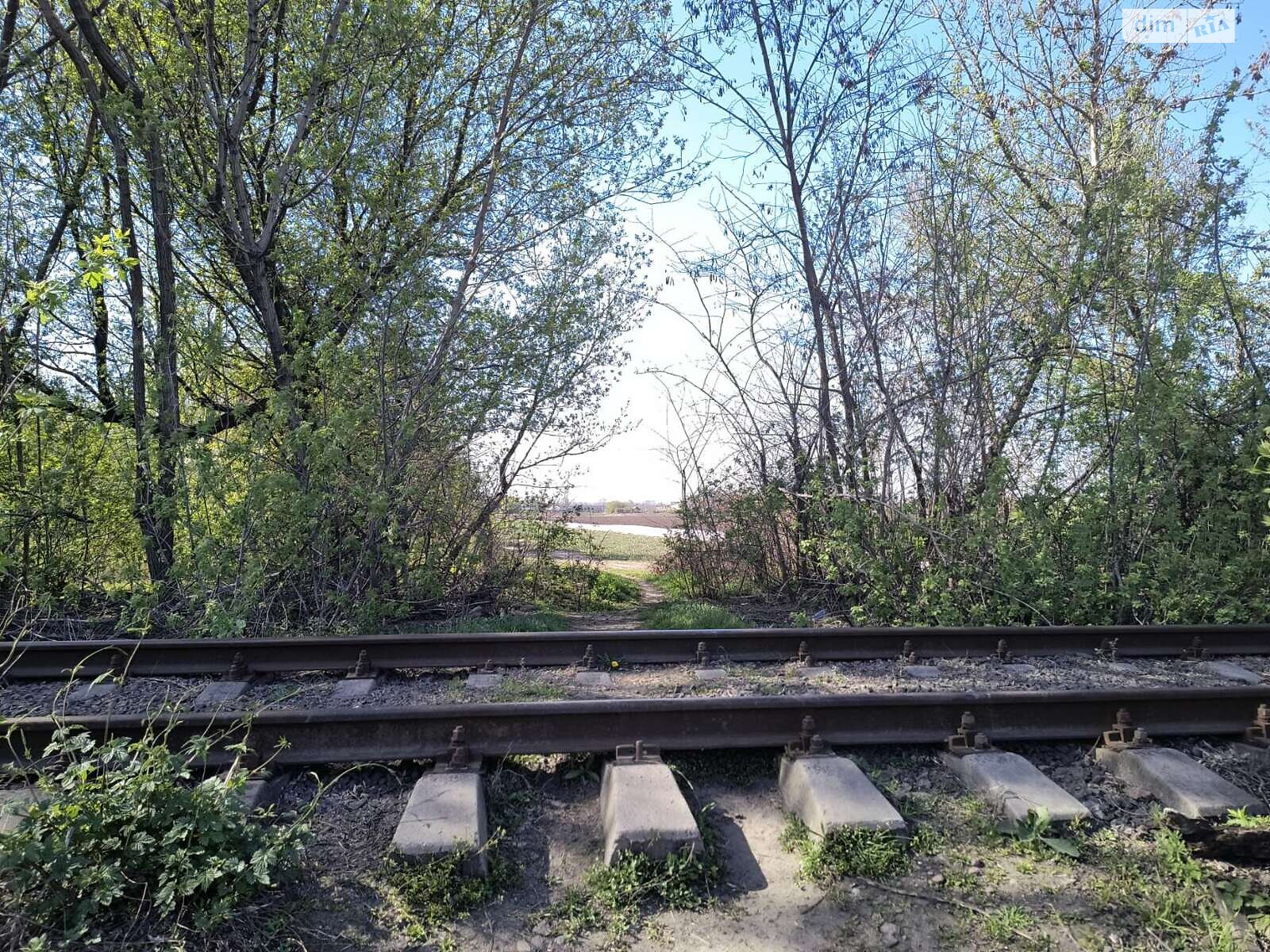 Земельна ділянка сільськогосподарського призначення в Черкасах, площа 2.3699 Га фото 1 Земельна ділянка сільськогосподарського призначення в Черкасах, площа 2.3699 Га фото 1