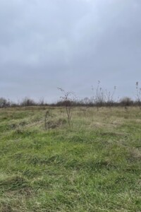 Земельна ділянка сільськогосподарського призначення в Чернієві, площа 14.55 сотки фото 2