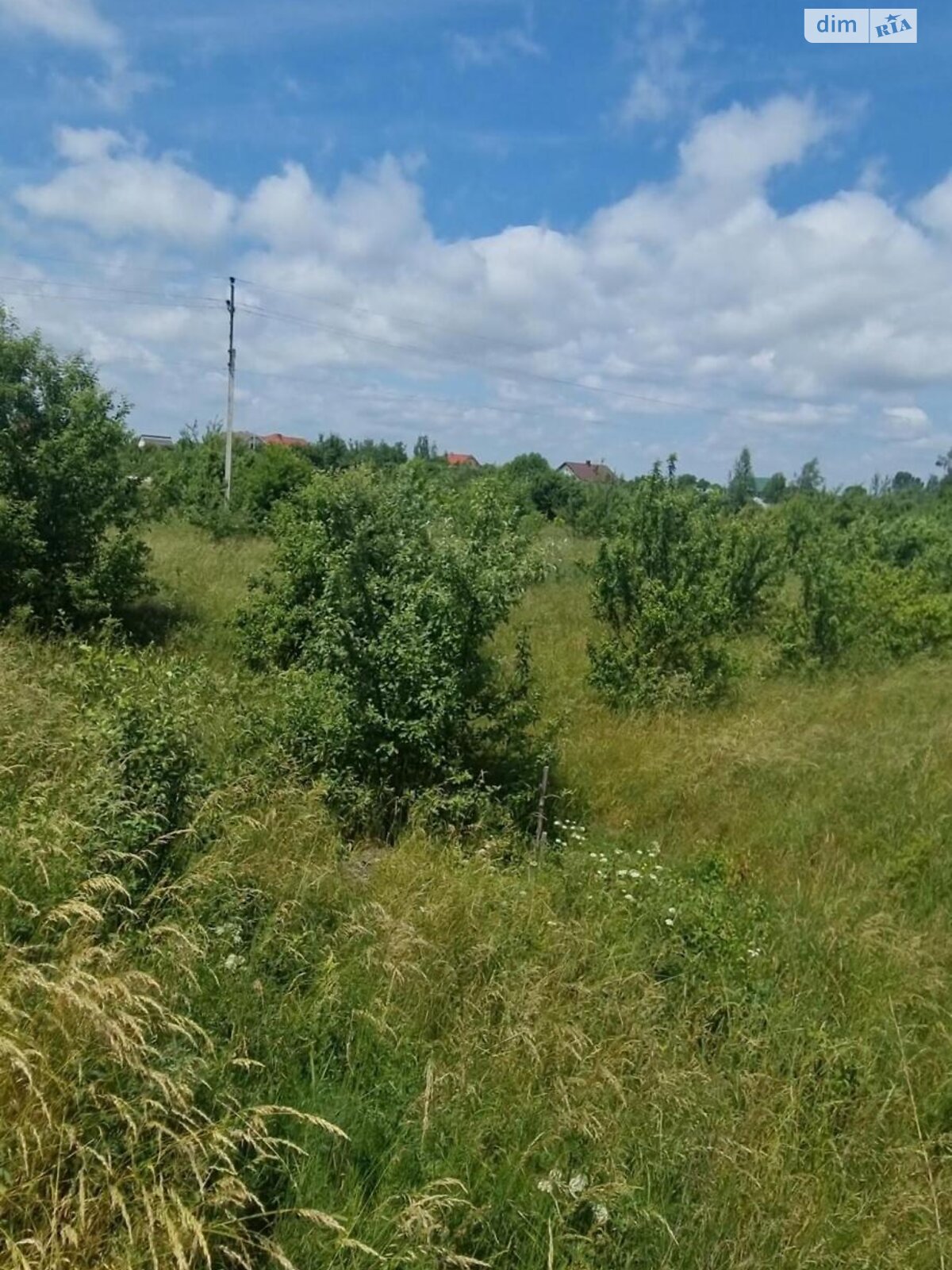 Земельный участок сельскохозяйственного назначения в Черниеве, площадь 11.1 сотки фото 1 Земельный участок сельскохозяйственного назначения в Черниеве, площадь 11.1 сотки фото 1