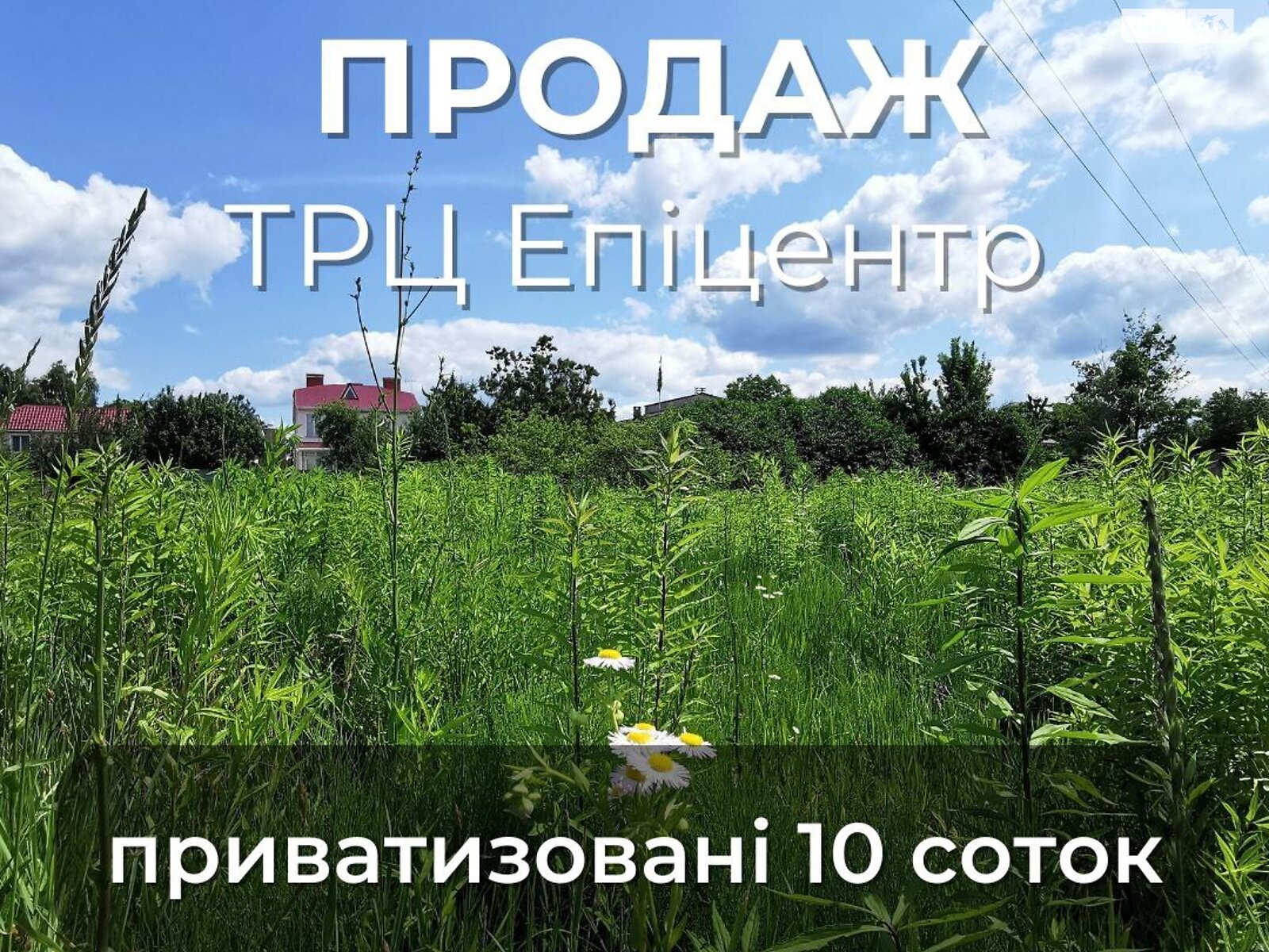 Земля сільськогосподарського призначення в Чернігові, район Олександрівка, площа 10 соток фото 1 Земля сільськогосподарського призначення в Чернігові, район Олександрівка, площа 10 соток фото 1