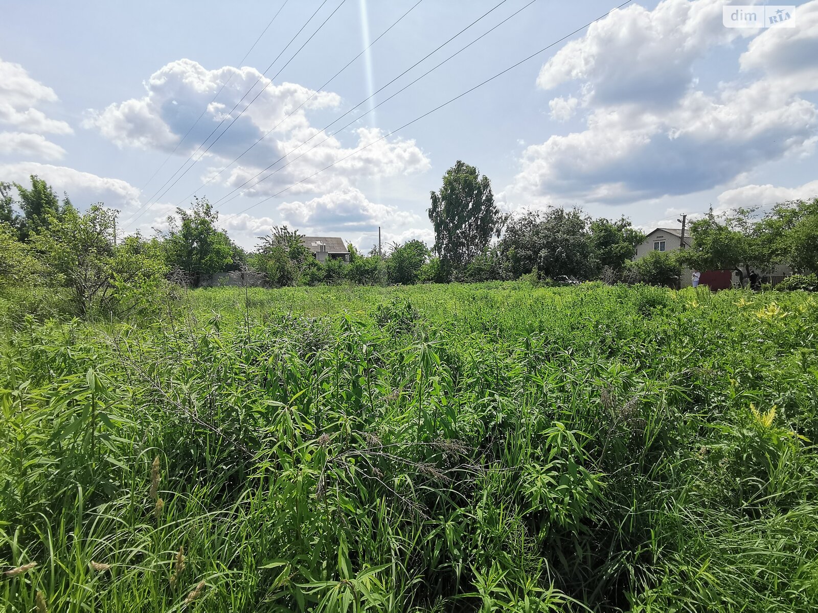 Земля сільськогосподарського призначення в Чернігові, район Олександрівка, площа 10 соток фото 1 Земля сільськогосподарського призначення в Чернігові, район Олександрівка, площа 10 соток фото 1