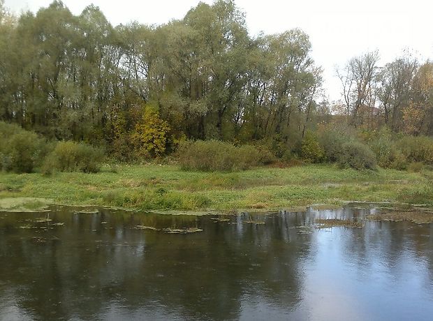 Продажа земли сельскохозяйственного назначения, Чернигов, c. Сновянка Продажа земли сельскохозяйственного назначения, Чернигов, c. Сновянка