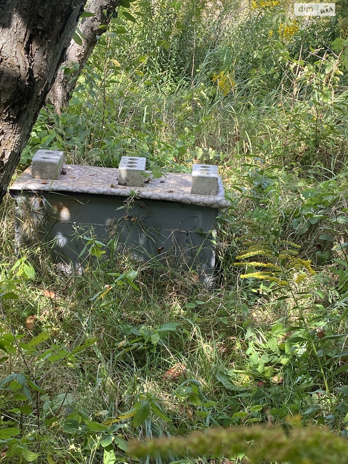 Земельна ділянка сільськогосподарського призначення в Чернігові, площа 4.8 сотки фото 1