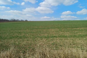 Земельна ділянка сільськогосподарського призначення в Чернихівці, площа 10 соток фото 2