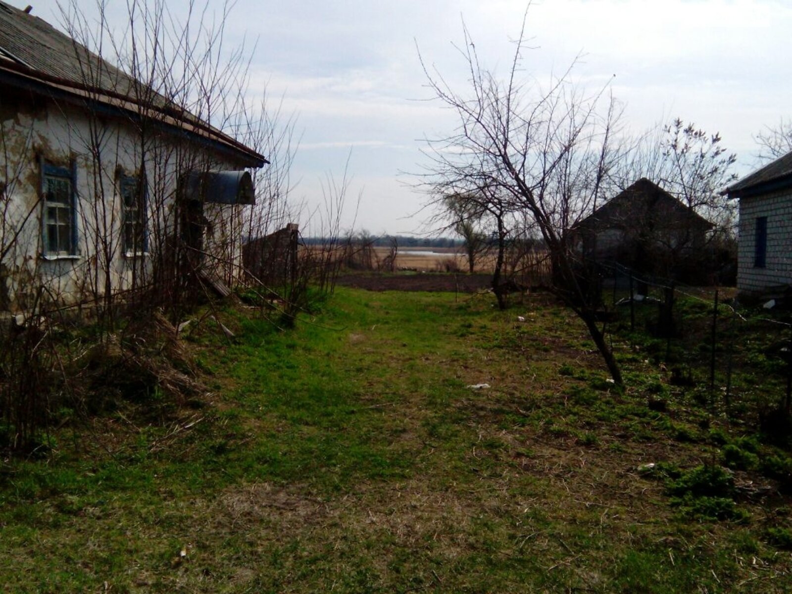 Земля сельскохозяйственного назначения в Чернобае, район Чернобай, площадь 44 кв.м фото 1