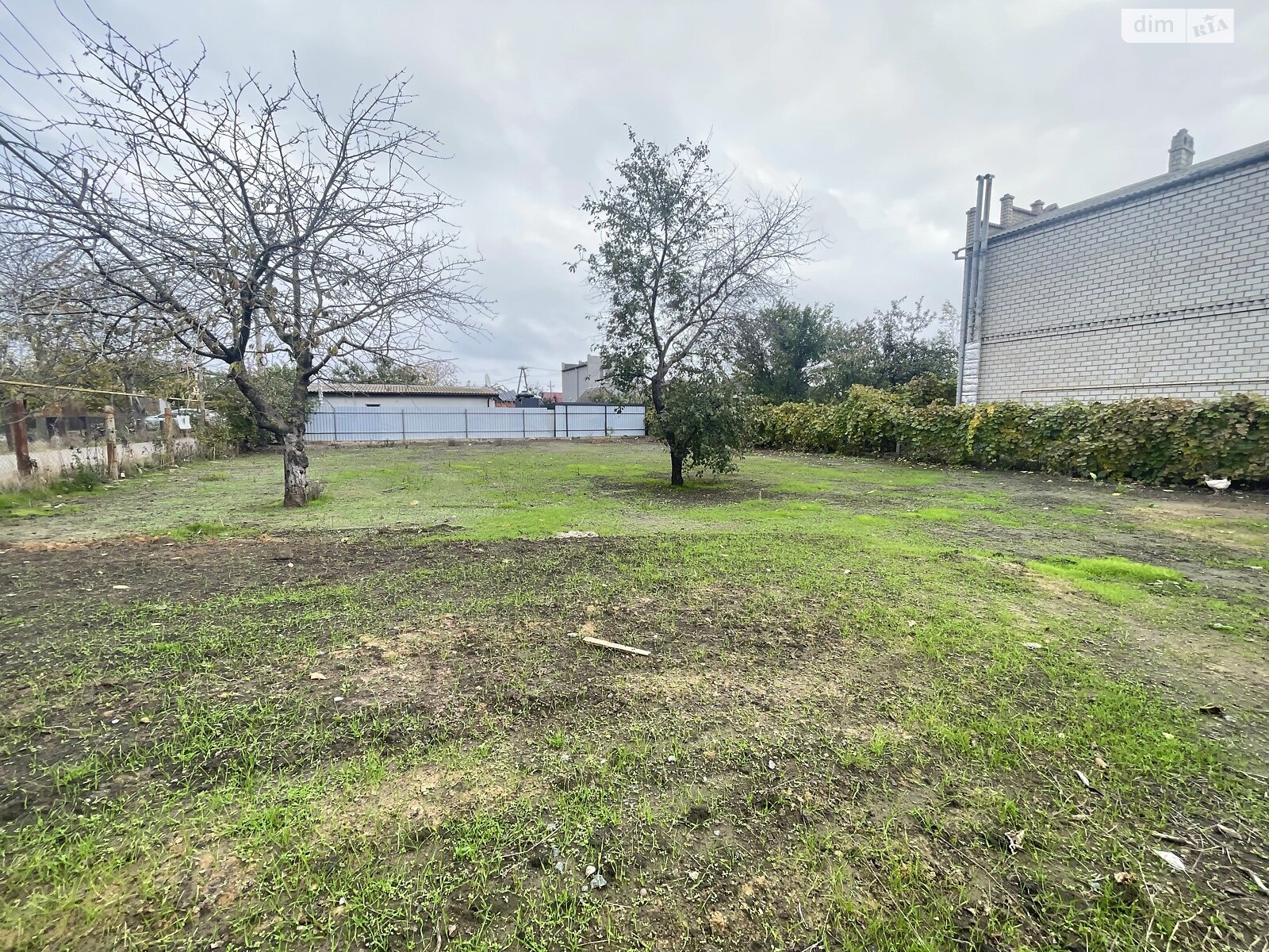 Земля сільськогосподарського призначення в Чорноморську, район Молодіжне, площа 6 соток фото 1 Земля сільськогосподарського призначення в Чорноморську, район Молодіжне, площа 6 соток фото 1