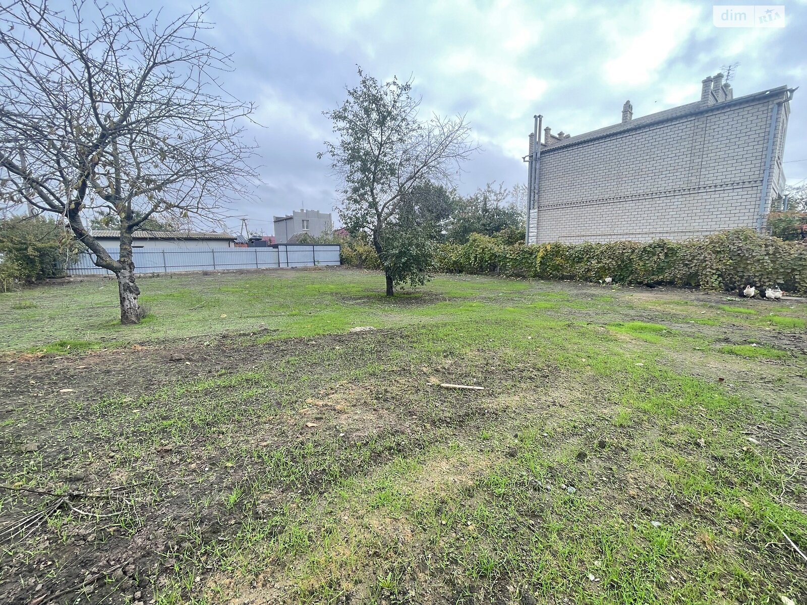 Земля сільськогосподарського призначення в Чорноморську, район Молодіжне, площа 6 соток фото 1 Земля сільськогосподарського призначення в Чорноморську, район Молодіжне, площа 6 соток фото 1