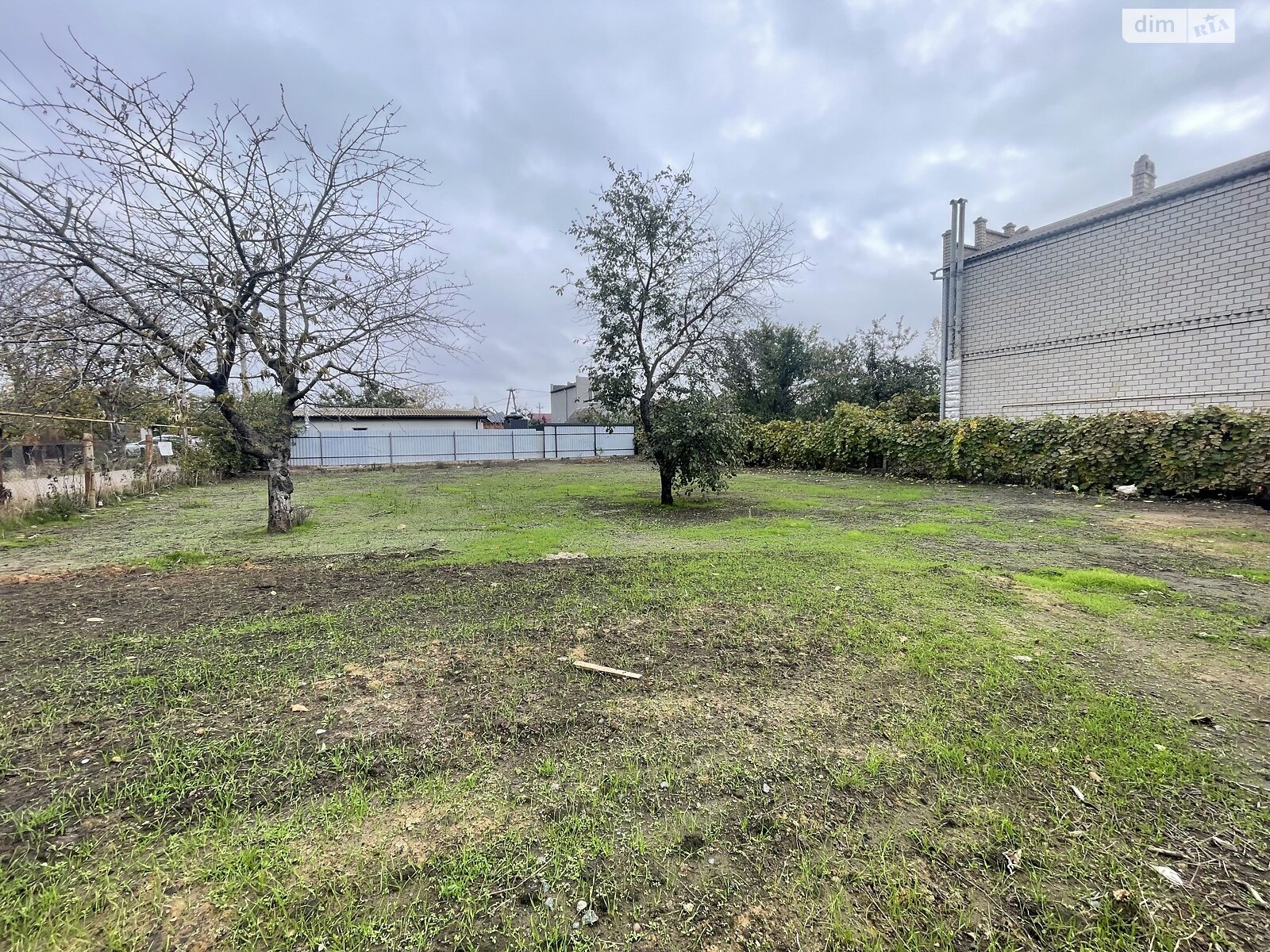 Земля сільськогосподарського призначення в Чорноморську, район Молодіжне, площа 6 соток фото 1 Земля сільськогосподарського призначення в Чорноморську, район Молодіжне, площа 6 соток фото 1