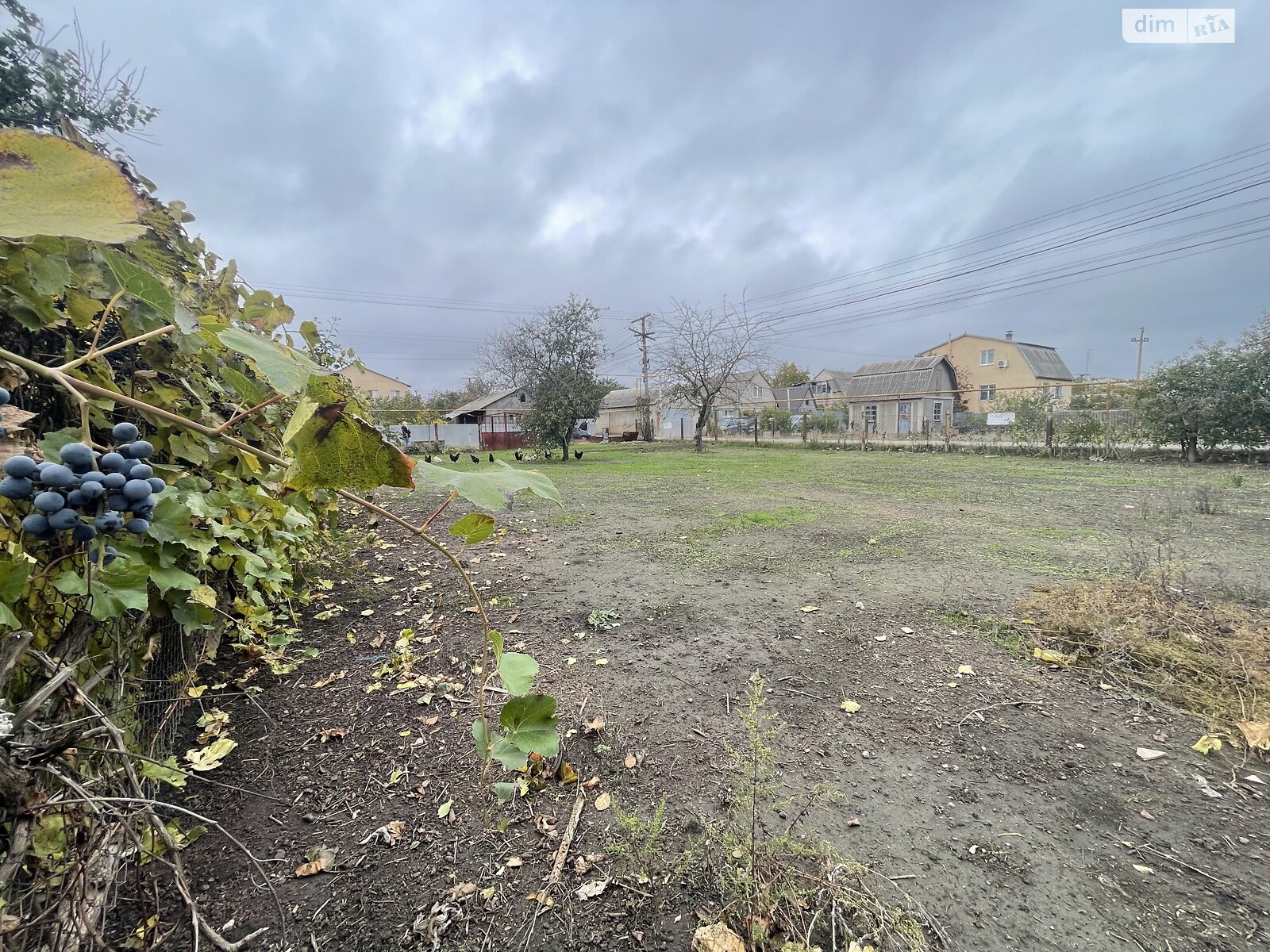 Земля сільськогосподарського призначення в Чорноморську, район Молодіжне, площа 6 соток фото 1 Земля сільськогосподарського призначення в Чорноморську, район Молодіжне, площа 6 соток фото 1