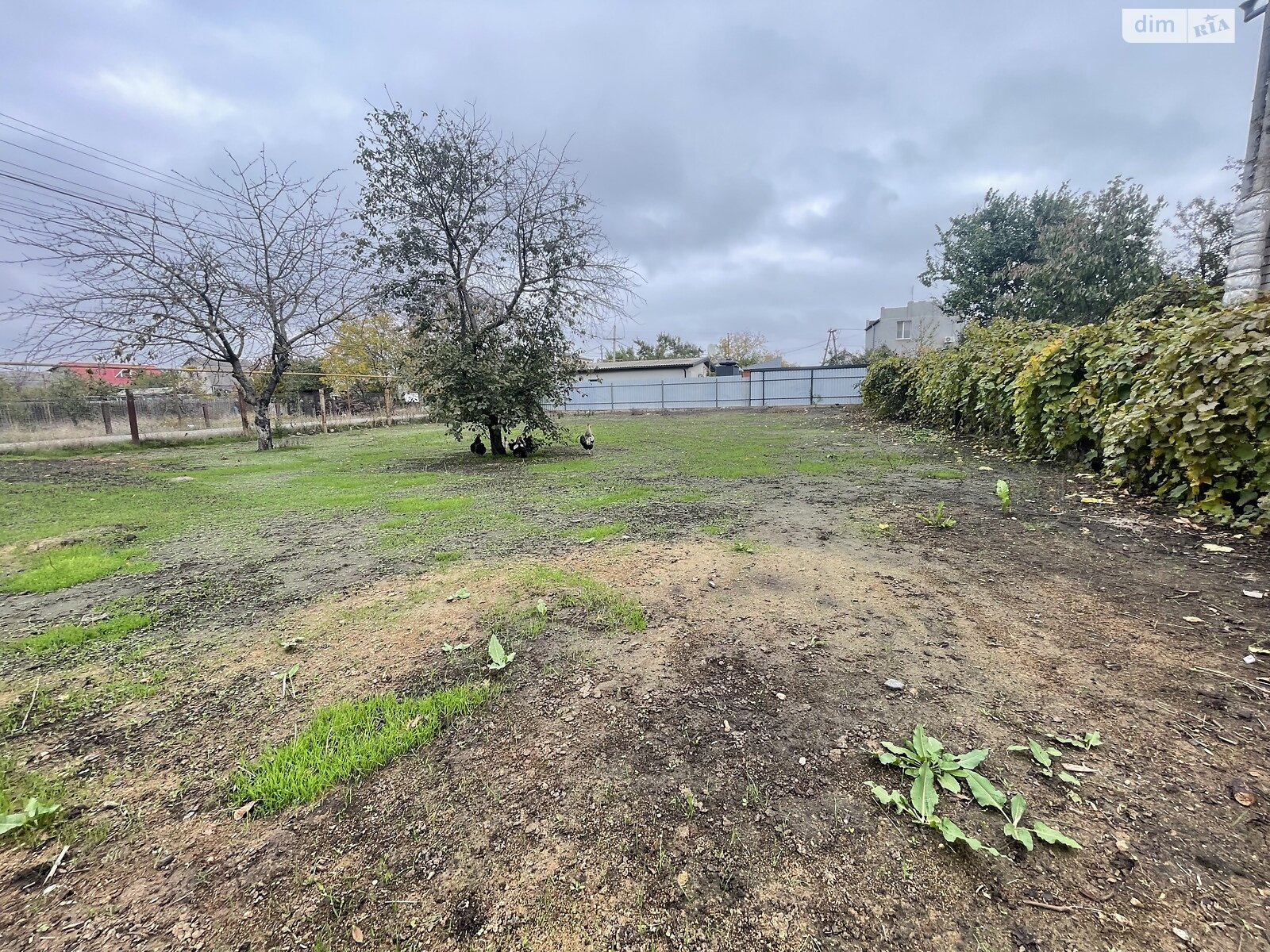 Земля сільськогосподарського призначення в Чорноморську, район Молодіжне, площа 6 соток фото 1 Земля сільськогосподарського призначення в Чорноморську, район Молодіжне, площа 6 соток фото 1