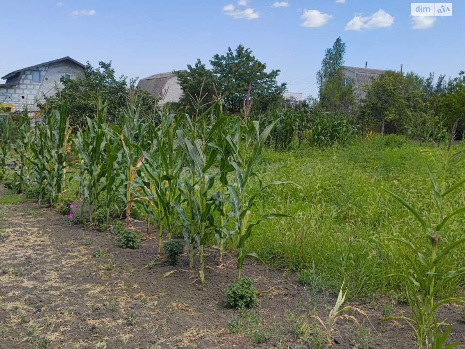 Земля сельскохозяйственного назначения в Черноморске, район Молодежное, площадь 10 соток фото 1