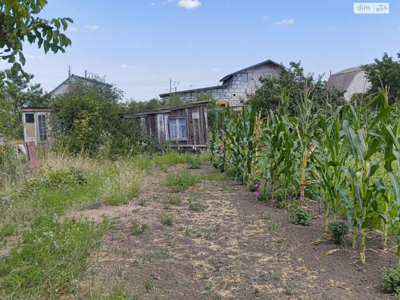 Земля сельскохозяйственного назначения в Черноморске, район Молодежное, площадь 10 соток фото 1