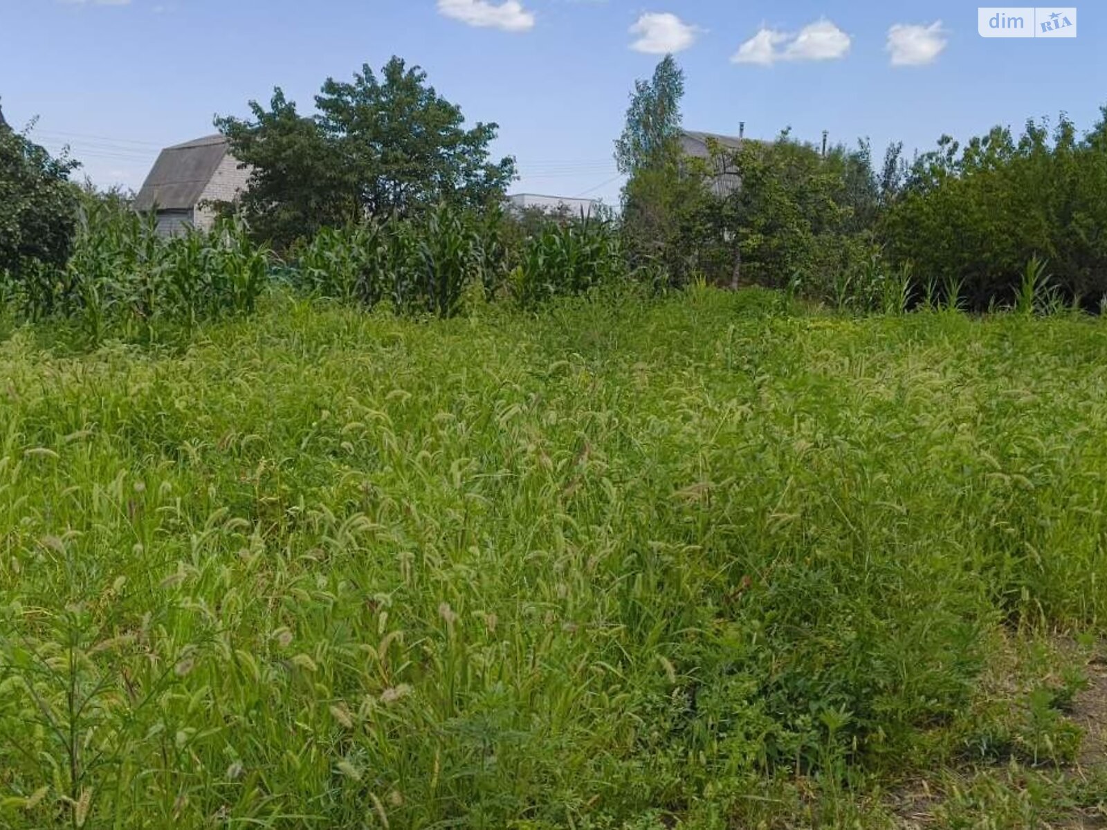 Земля сельскохозяйственного назначения в Черноморске, район Молодежное, площадь 10 соток фото 1