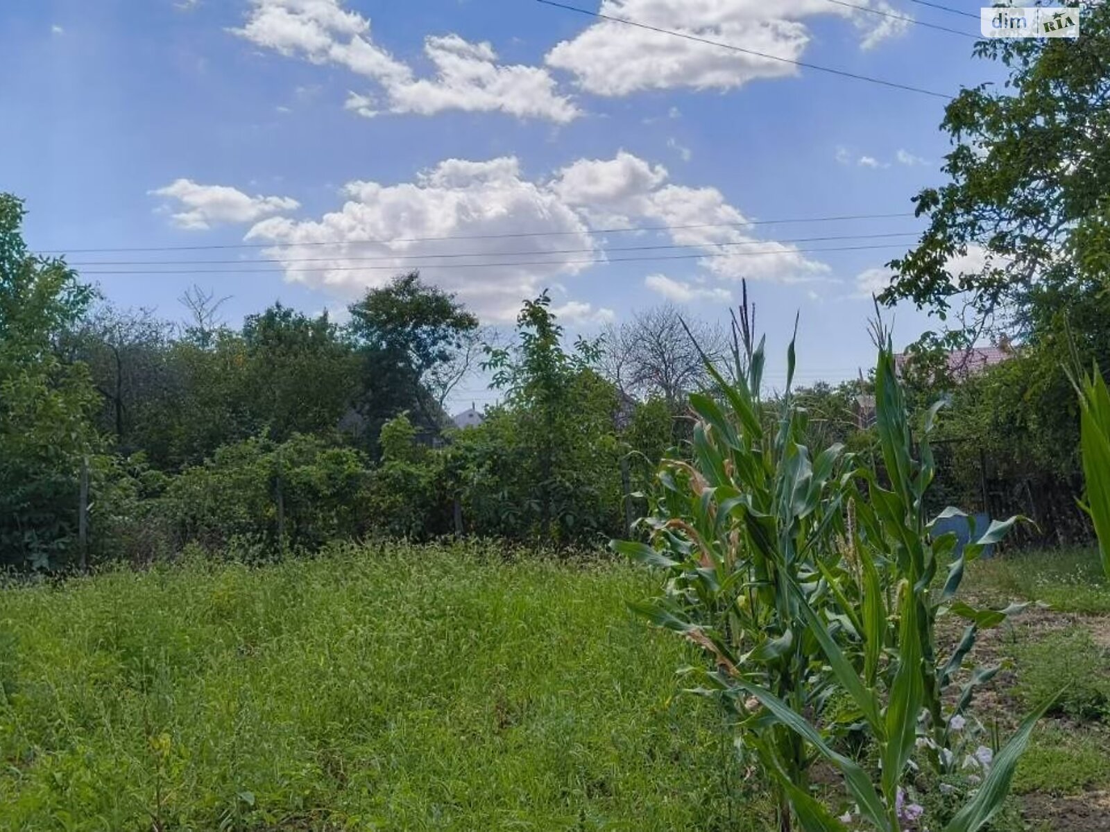 Земля сельскохозяйственного назначения в Черноморске, район Молодежное, площадь 10 соток фото 1