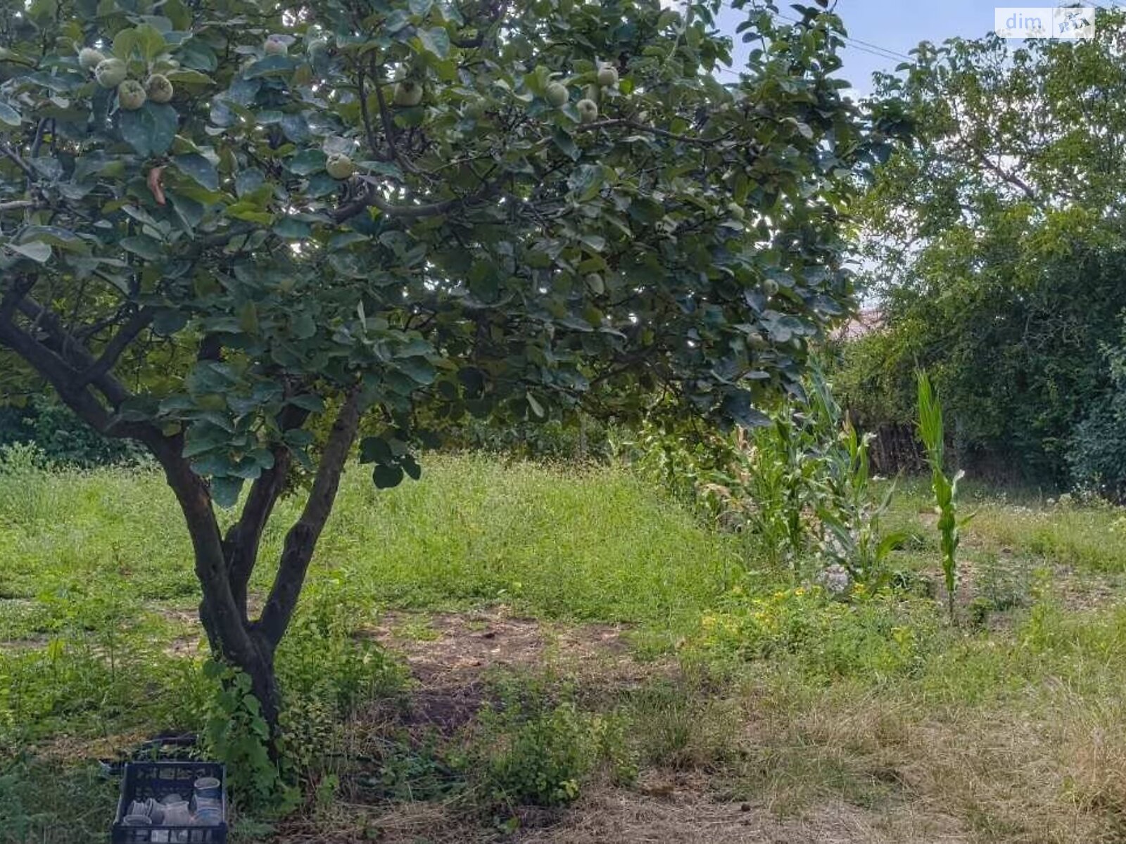 Земля сельскохозяйственного назначения в Черноморске, район Молодежное, площадь 10 соток фото 1