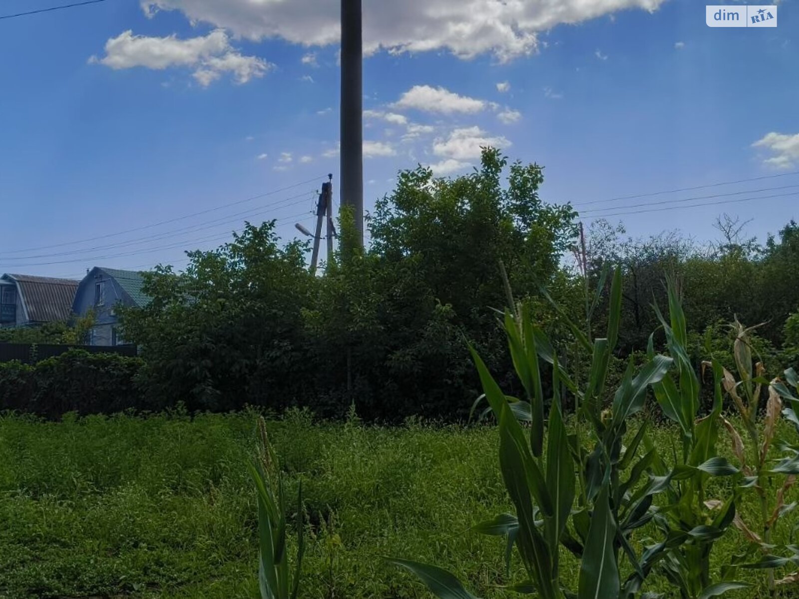 Земля сельскохозяйственного назначения в Черноморске, район Молодежное, площадь 10 соток фото 1