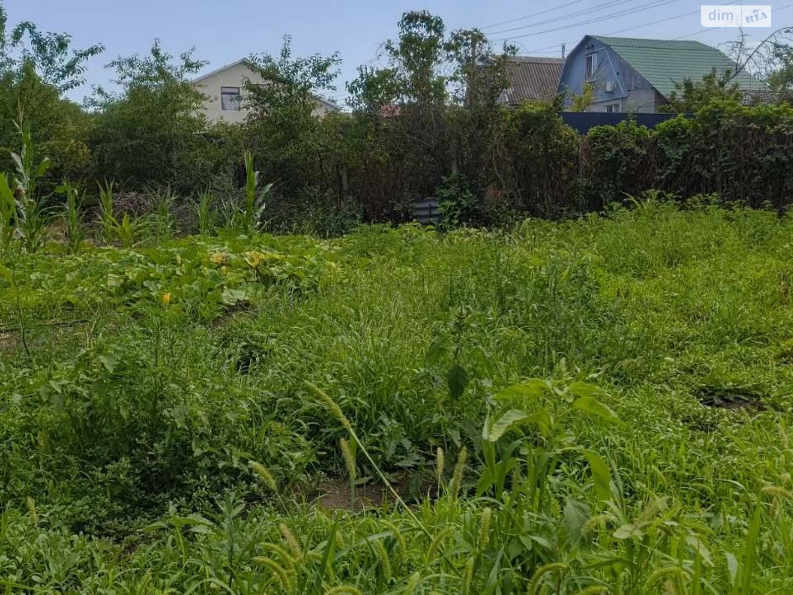 Земля сельскохозяйственного назначения в Черноморске, район Молодежное, площадь 10 соток фото 1