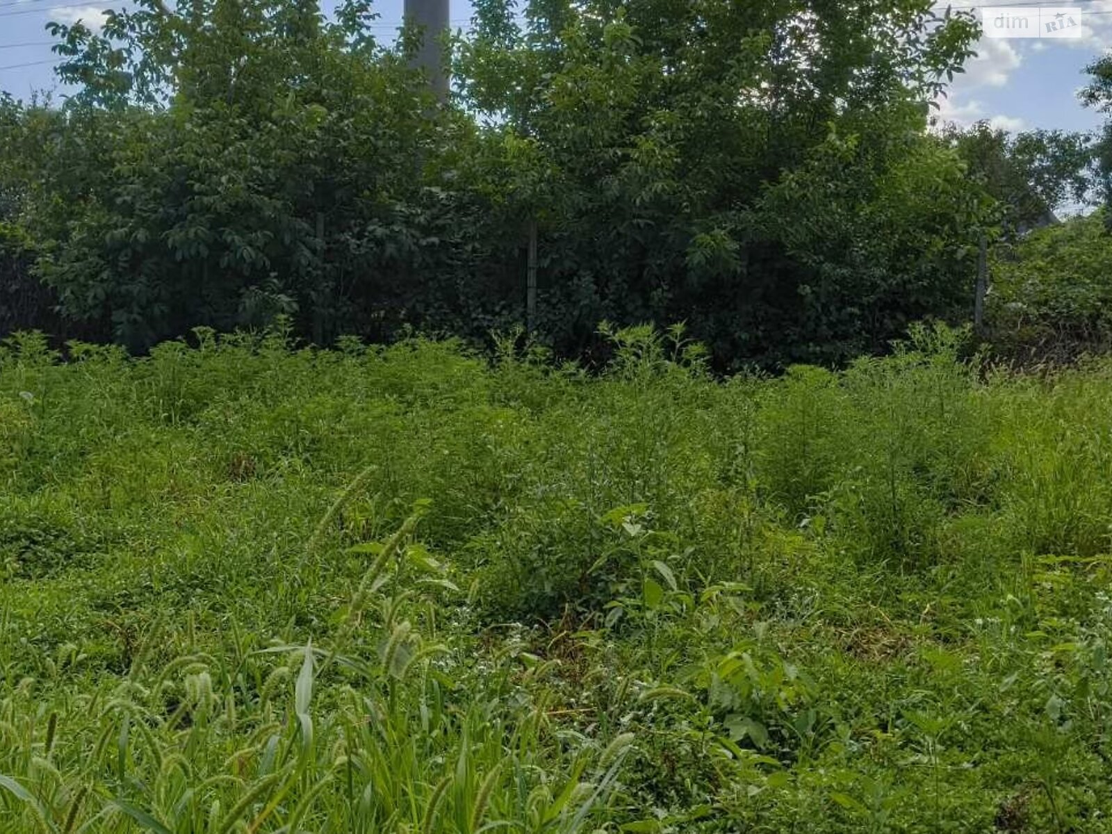 Земля сельскохозяйственного назначения в Черноморске, район Молодежное, площадь 10 соток фото 1