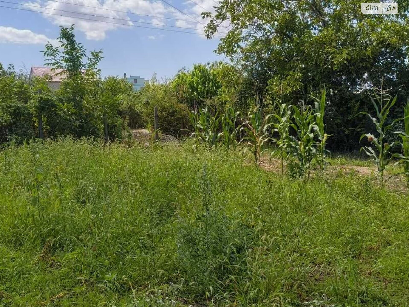 Земля сельскохозяйственного назначения в Черноморске, район Молодежное, площадь 10 соток фото 1