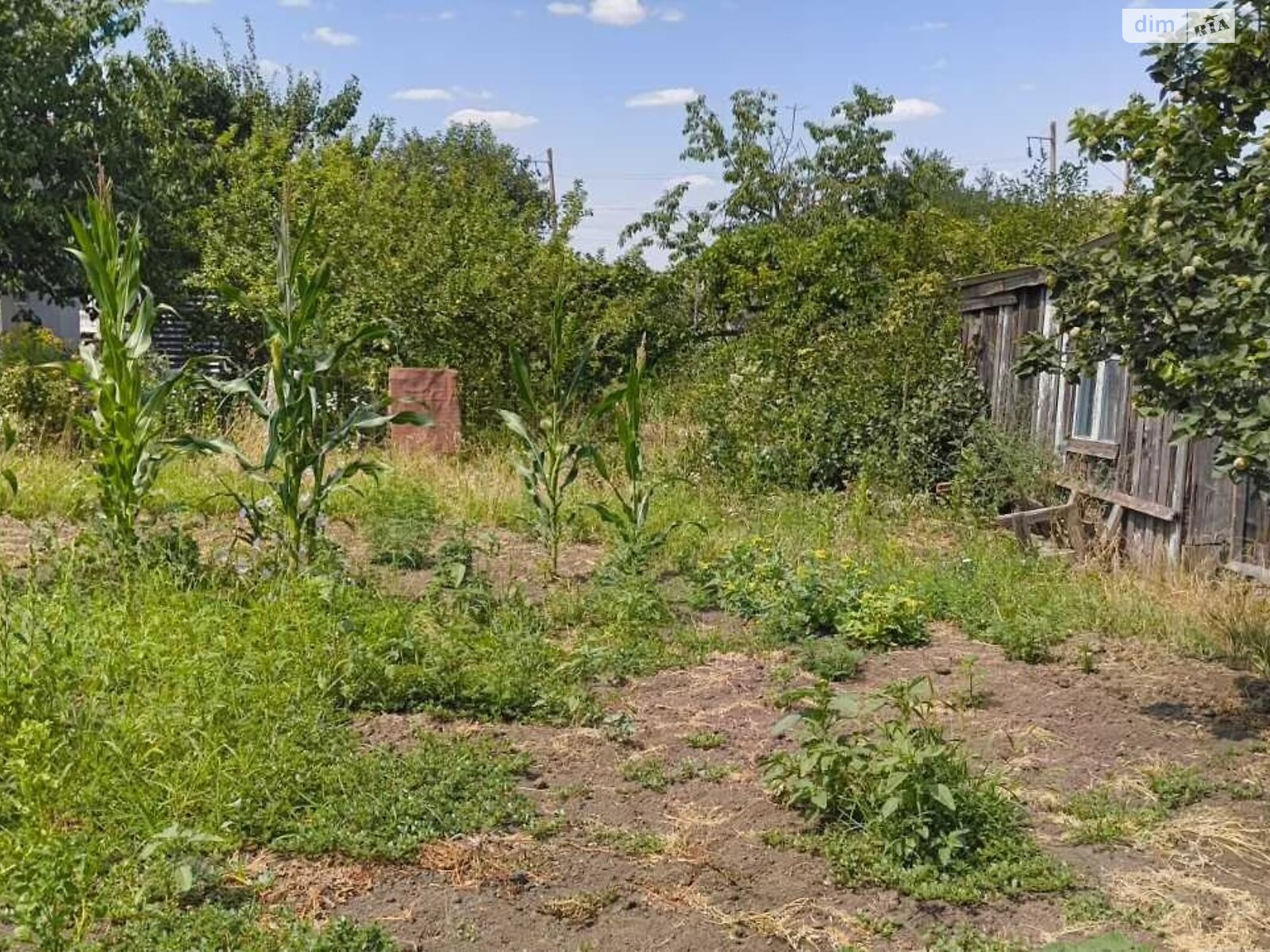 Земля сельскохозяйственного назначения в Черноморске, район Молодежное, площадь 10 соток фото 1