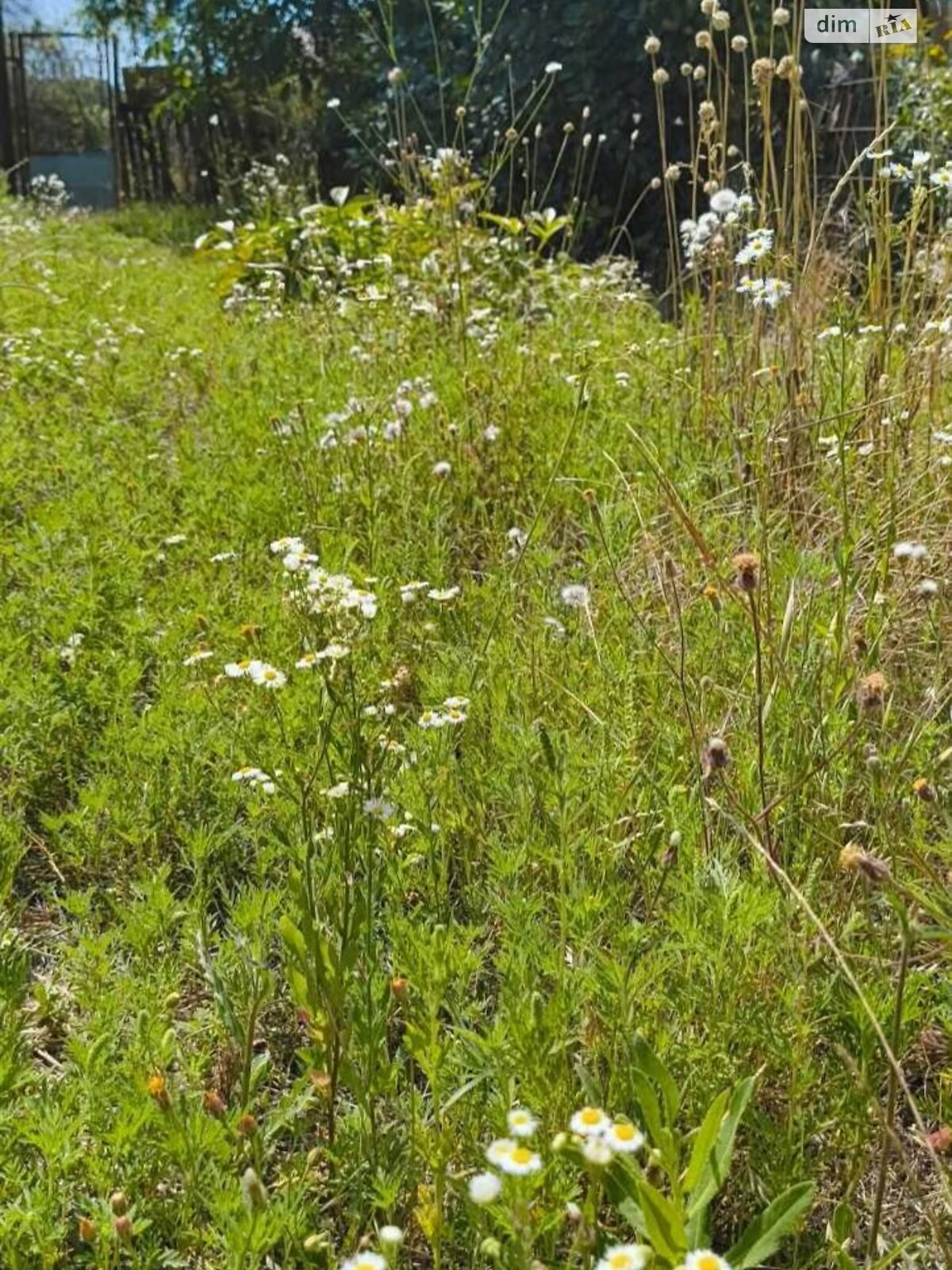 Земля сельскохозяйственного назначения в Черноморске, район Молодежное, площадь 10 соток фото 1