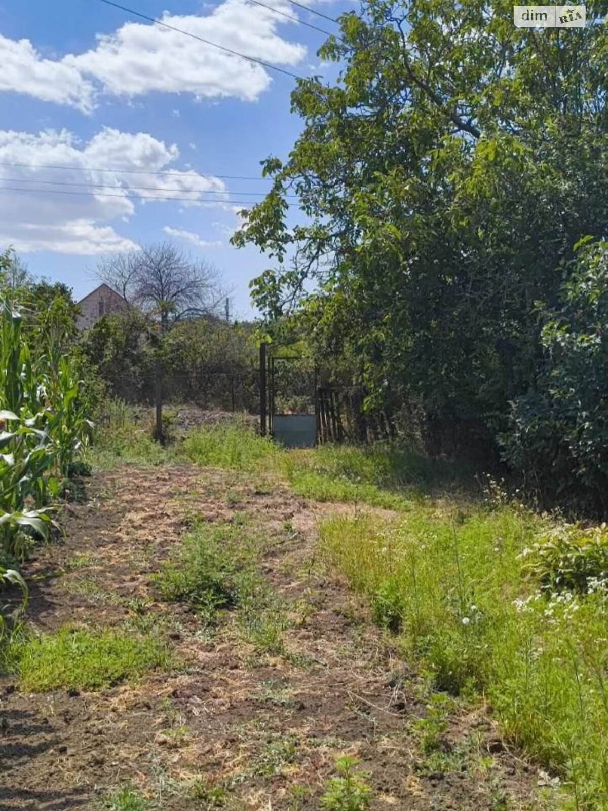 Земля сельскохозяйственного назначения в Черноморске, район Молодежное, площадь 10 соток фото 1