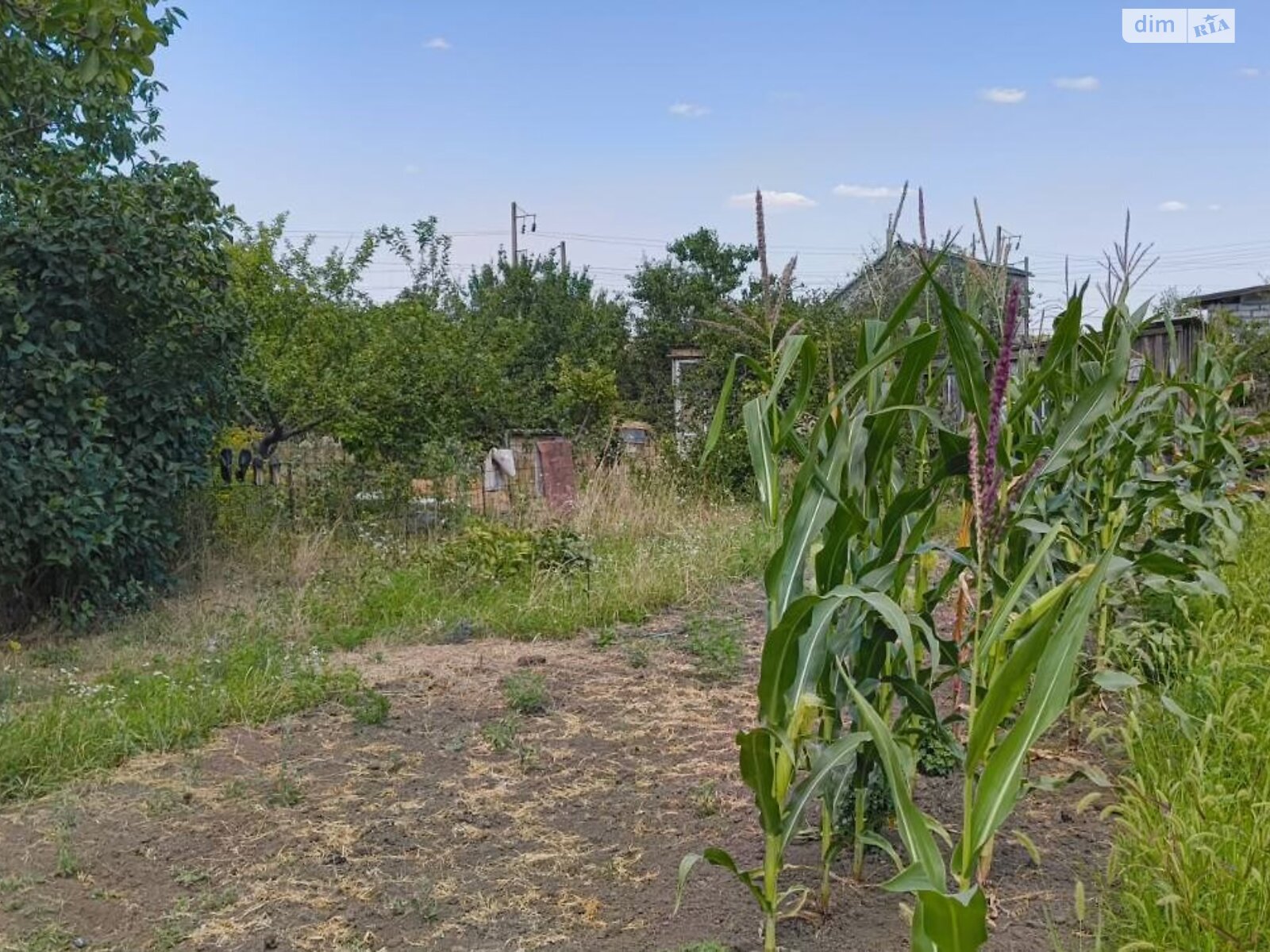 Земля сельскохозяйственного назначения в Черноморске, район Молодежное, площадь 10 соток фото 1
