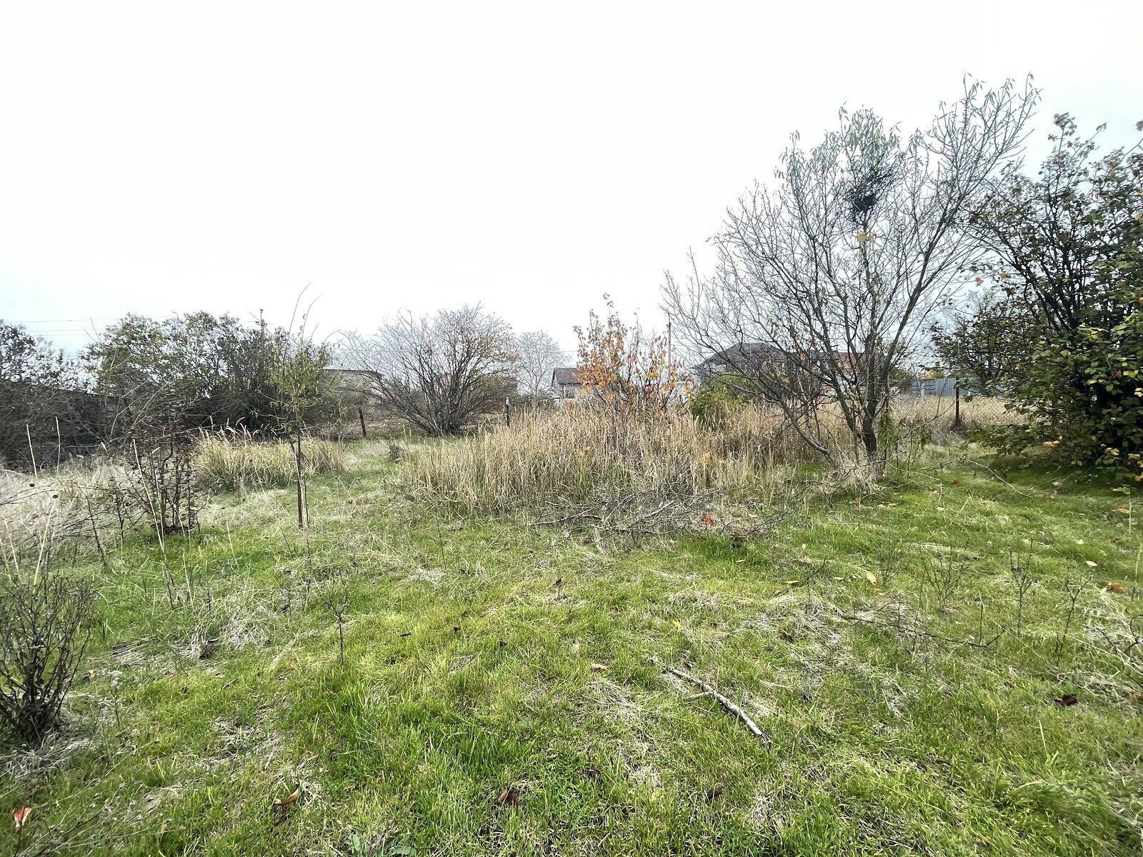 Земля сельскохозяйственного назначения в Черноморске, район Молодежное, площадь 6 соток фото 1