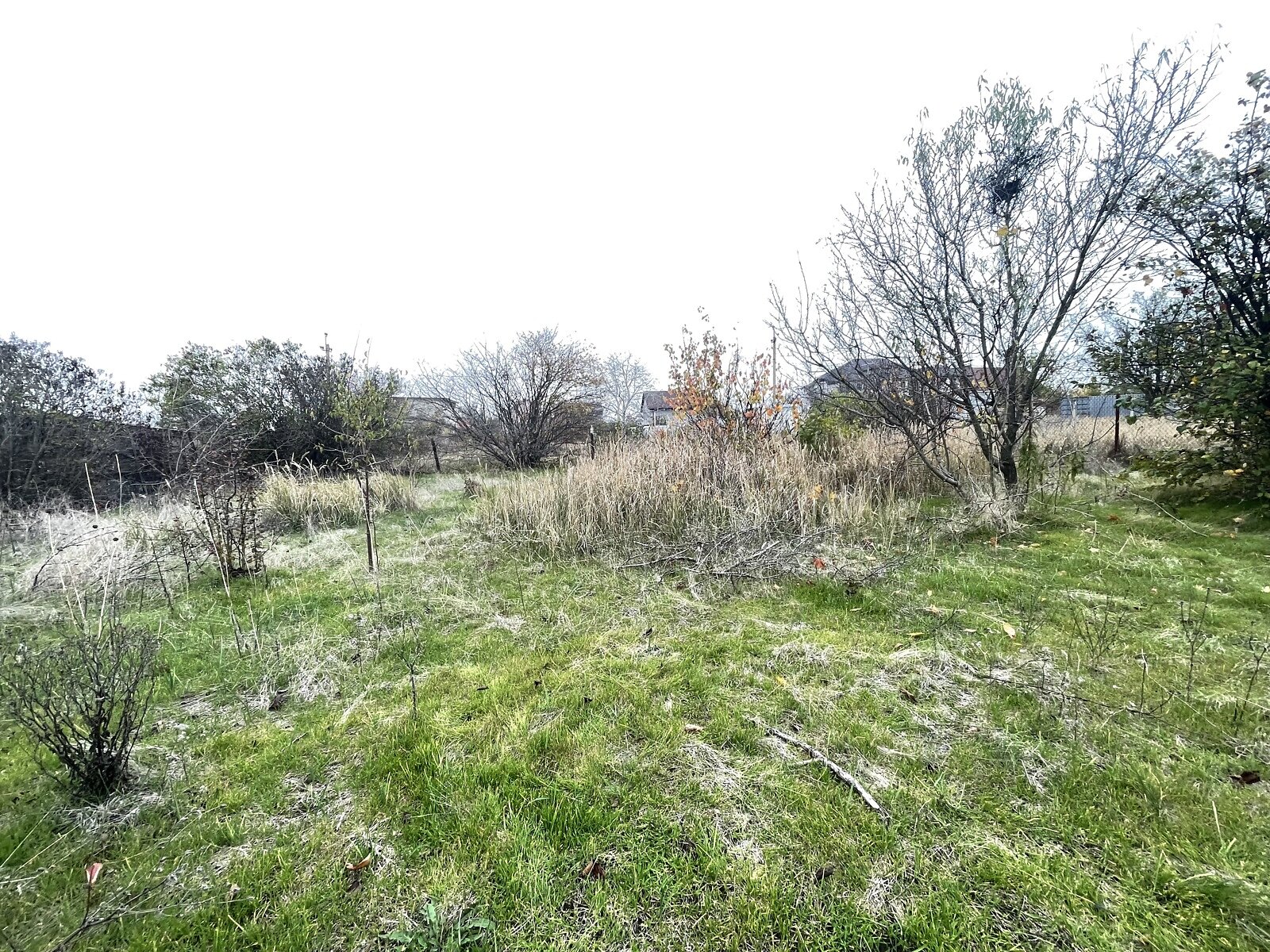 Земля сельскохозяйственного назначения в Черноморске, район Молодежное, площадь 6 соток фото 1