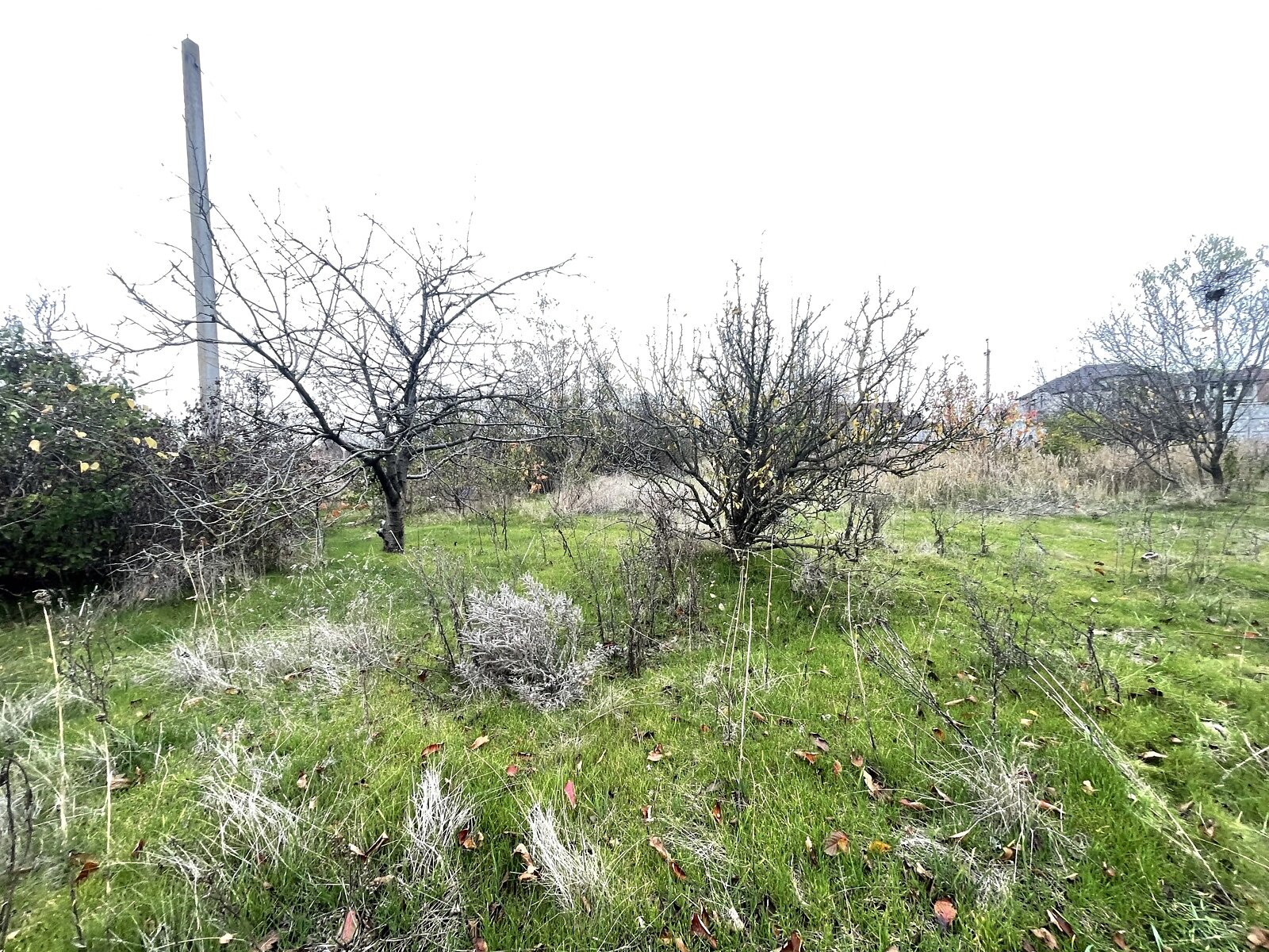 Земля сельскохозяйственного назначения в Черноморске, район Молодежное, площадь 6 соток фото 1