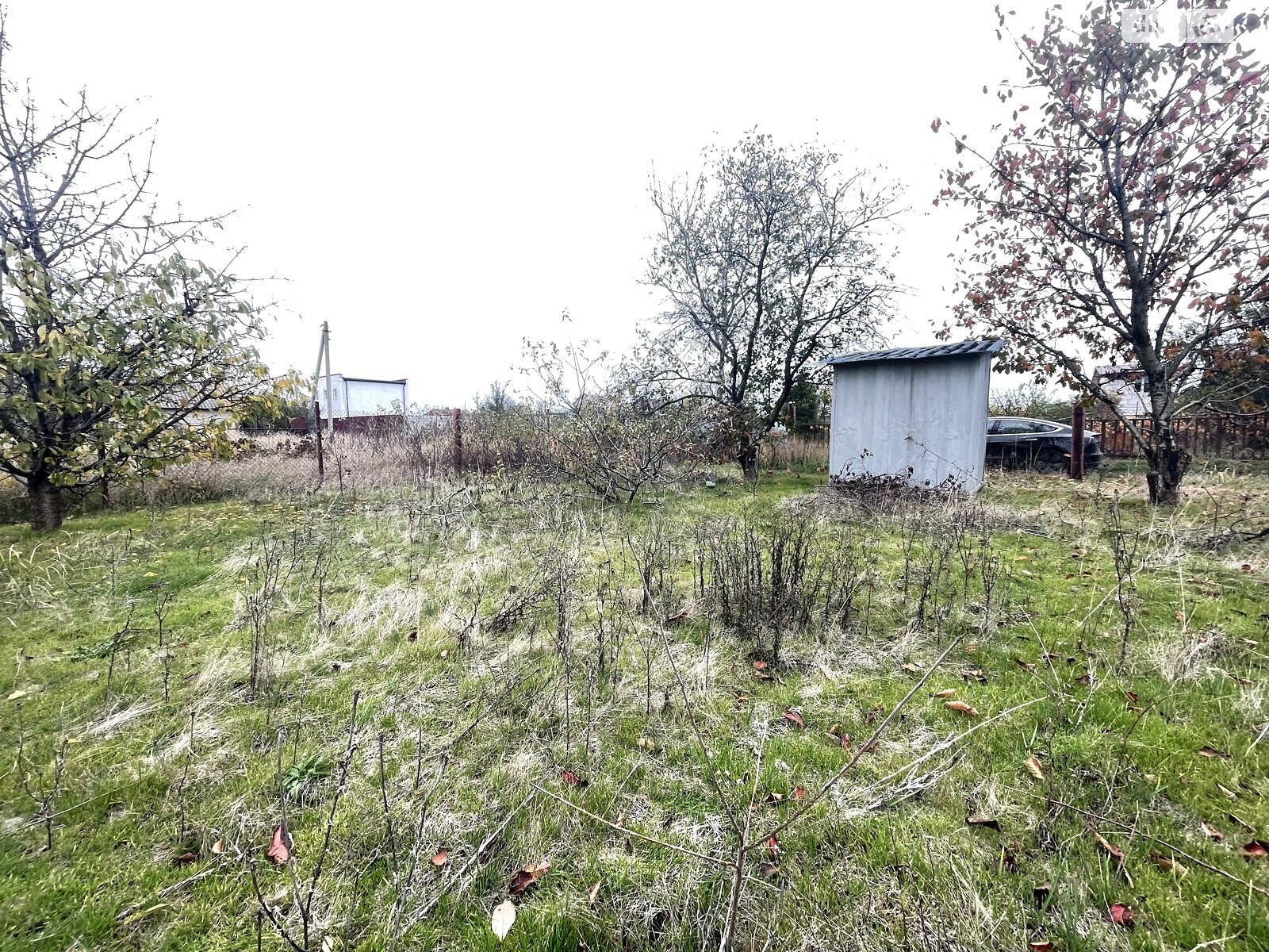 Земля сельскохозяйственного назначения в Черноморске, район Молодежное, площадь 6 соток фото 1