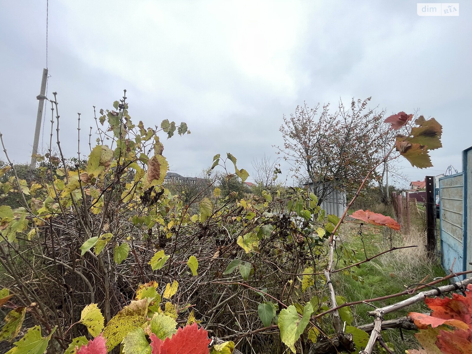Земля сельскохозяйственного назначения в Черноморске, район Молодежное, площадь 6 соток фото 1